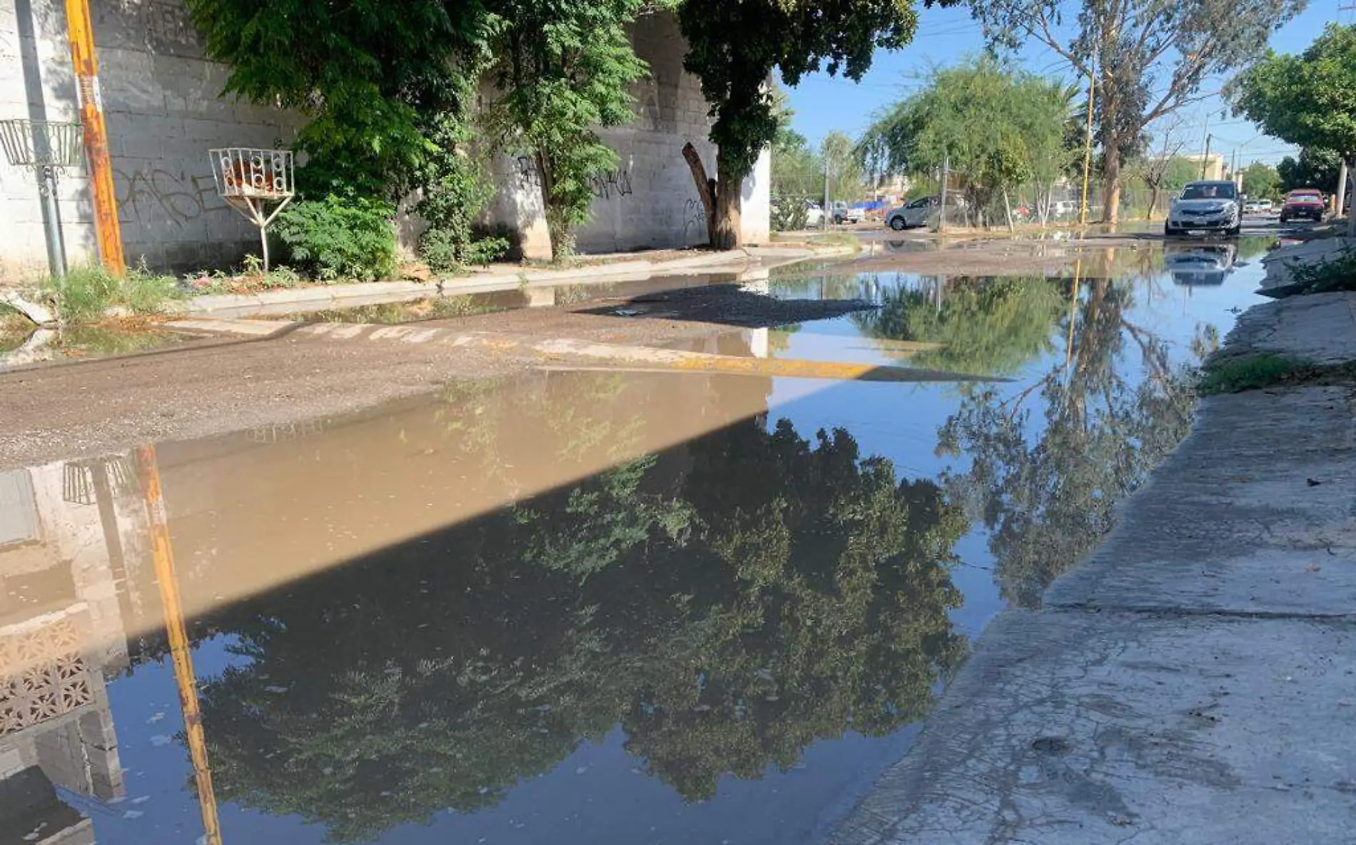 Se registran las primeras lluvias de la temporada en la Laguna